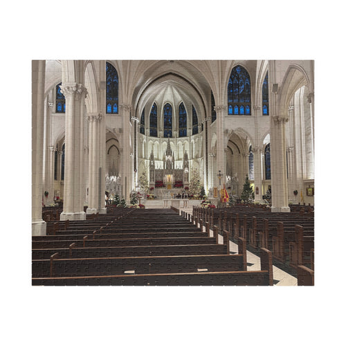 Cathedral Basilica of the Immaculate Conception Interior Jigsaw Puzzle — Historic Church Architecture Puzzle (110/252/520/1014 pcs)